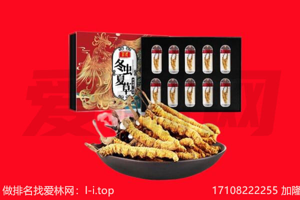 本溪回收虫草.jpg